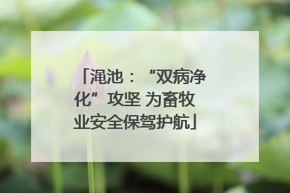 渑池：“双病净化”攻坚 为畜牧业安全保驾护航