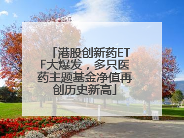 港股创新药ETF大爆发，多只医药主题基金净值再创历史新高