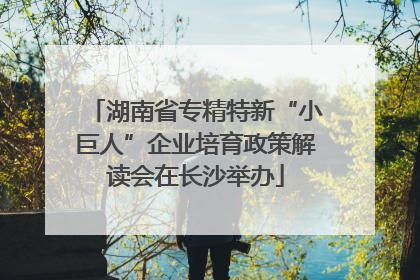 湖南省专精特新“小巨人”企业培育政策解读会在长沙举办