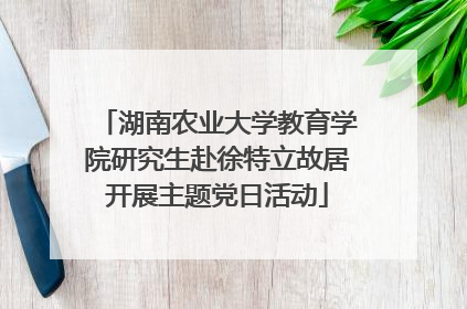 湖南农业大学教育学院研究生赴徐特立故居开展主题党日活动