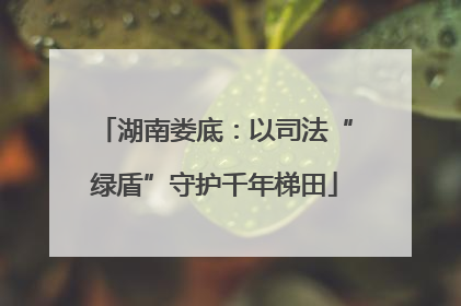 湖南娄底：以司法“绿盾”守护千年梯田