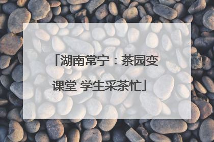 湖南常宁：茶园变课堂 学生采茶忙