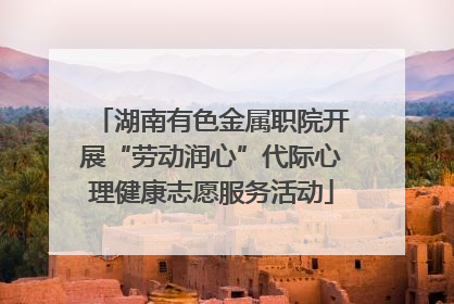 湖南有色金属职院开展“劳动润心”代际心理健康志愿服务活动