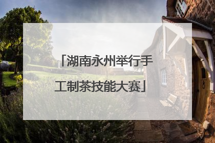 湖南永州举行手工制茶技能大赛