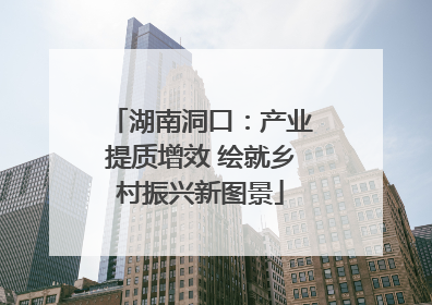 湖南洞口：产业提质增效 绘就乡村振兴新图景