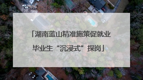 湖南蓝山精准施策促就业 毕业生“沉浸式”探岗