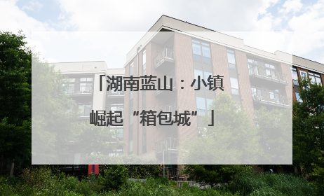 湖南蓝山：小镇崛起“箱包城”