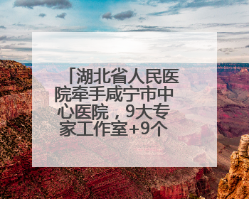 湖北省人民医院牵手咸宁市中心医院，9大专家工作室+9个专科联盟筑牢区域医疗网