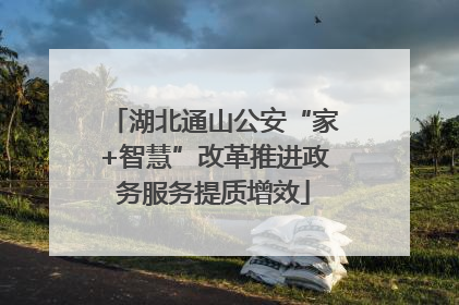 湖北通山公安“家+智慧”改革推进政务服务提质增效
