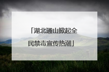 湖北通山掀起全民禁毒宣传热潮