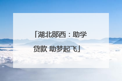 湖北郧西：助学贷款 助梦起飞