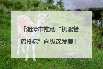 湘潭市推动“机器管招投标”向纵深发展