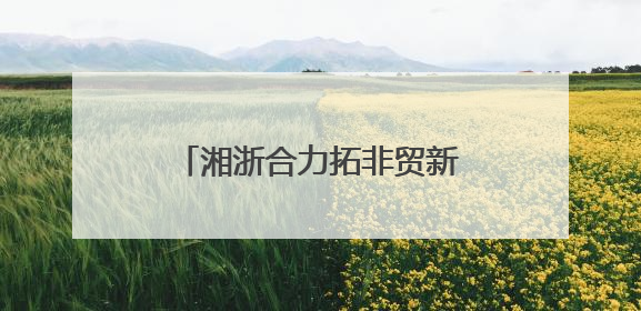 湘浙合力拓非贸新局 雨花义乌携手共建中非贸易新通道