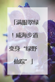 满眼翠绿！威海步道变身“绿野仙踪”
