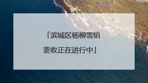 滨城区杨柳雪镇麦收正在进行中