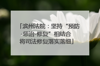 滨州法院：坚持“预防-惩治-修复”相结合 将司法修复落实落细