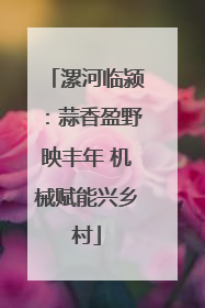 漯河临颍：蒜香盈野映丰年 机械赋能兴乡村