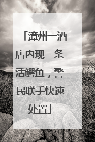 漳州一酒店内现一条活鳄鱼，警民联手快速处置