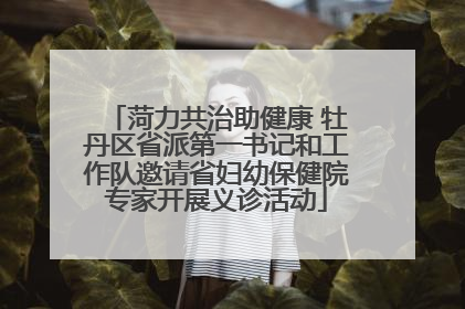 菏力共治助健康 牡丹区省派第一书记和工作队邀请省妇幼保健院专家开展义诊活动