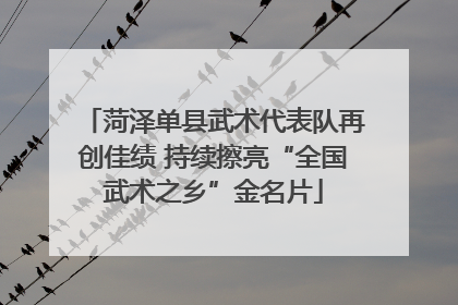 菏泽单县武术代表队再创佳绩 持续擦亮“全国武术之乡”金名片