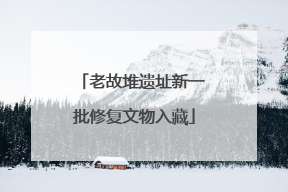 老故堆遗址新一批修复文物入藏