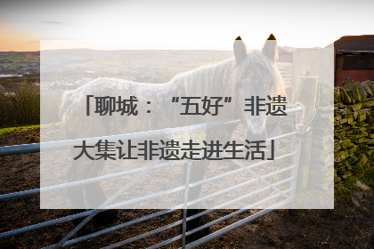 聊城：“五好”非遗大集让非遗走进生活