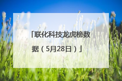 联化科技龙虎榜数据（5月28日）
