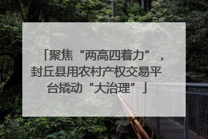 聚焦“两高四着力”，封丘县用农村产权交易平台撬动“大治理”