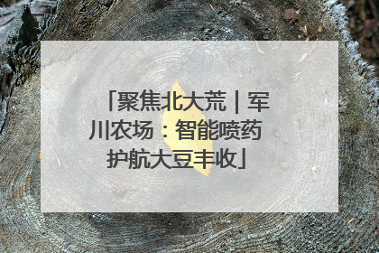 聚焦北大荒｜军川农场：智能喷药护航大豆丰收