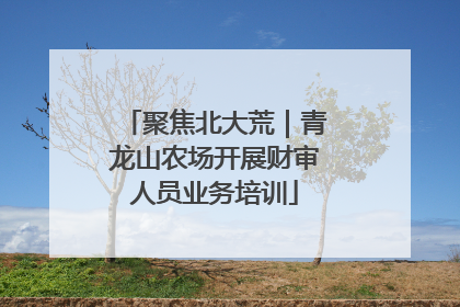聚焦北大荒｜青龙山农场开展财审人员业务培训