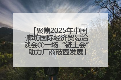 聚焦2025年中国·廊坊国际经济贸易洽谈会③一场“链主会” 助力厂商破圈发展
