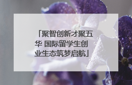 聚智创新才聚五华 国际留学生创业生态筑梦启航