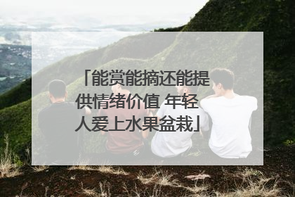 能赏能摘还能提供情绪价值 年轻人爱上水果盆栽
