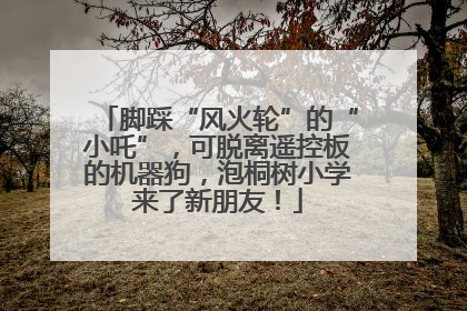 脚踩“风火轮”的“小吒”，可脱离遥控板的机器狗，泡桐树小学来了新朋友！