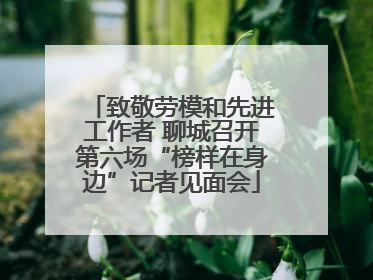 致敬劳模和先进工作者 聊城召开第六场“榜样在身边”记者见面会