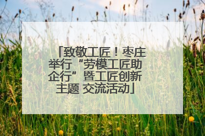 致敬工匠！枣庄举行“劳模工匠助企行”暨工匠创新主题 交流活动