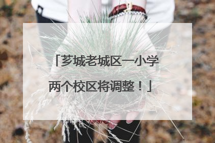 芗城老城区一小学两个校区将调整！