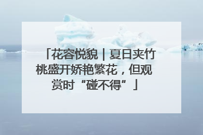 花容悦貌｜夏日夹竹桃盛开娇艳繁花，但观赏时“碰不得”