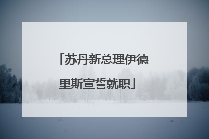 苏丹新总理伊德里斯宣誓就职