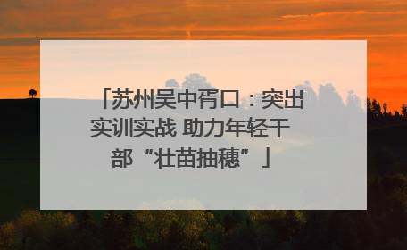 苏州吴中胥口：突出实训实战 助力年轻干部“壮苗抽穗”