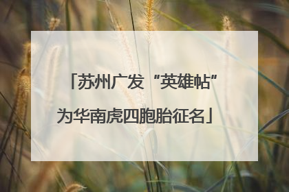 苏州广发“英雄帖”为华南虎四胞胎征名