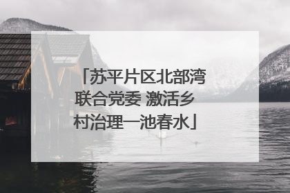 苏平片区北部湾联合党委 激活乡村治理一池春水