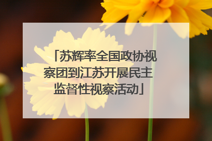 苏辉率全国政协视察团到江苏开展民主监督性视察活动