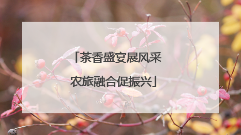 茶香盛宴展风采 农旅融合促振兴