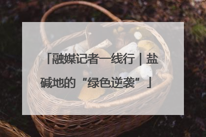 融媒记者一线行｜盐碱地的“绿色逆袭”