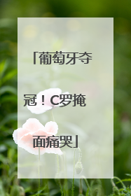 葡萄牙夺冠！C罗掩面痛哭