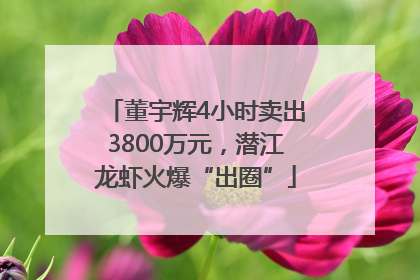 董宇辉4小时卖出3800万元，潜江龙虾火爆“出圈”
