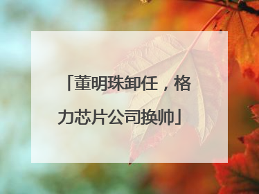 董明珠卸任，格力芯片公司换帅