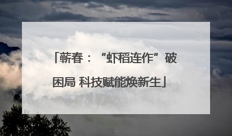 蕲春：“虾稻连作”破困局 科技赋能焕新生