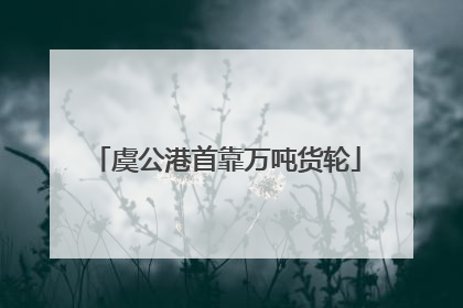 虞公港首靠万吨货轮